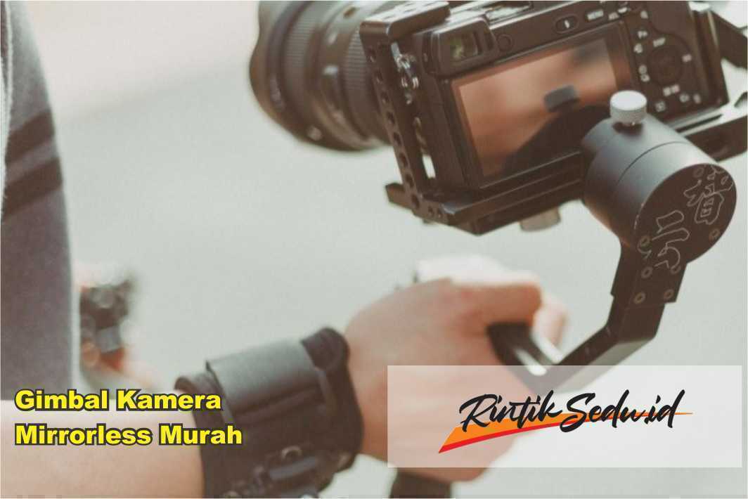 Gimbal Kamera Mirrorless Murah