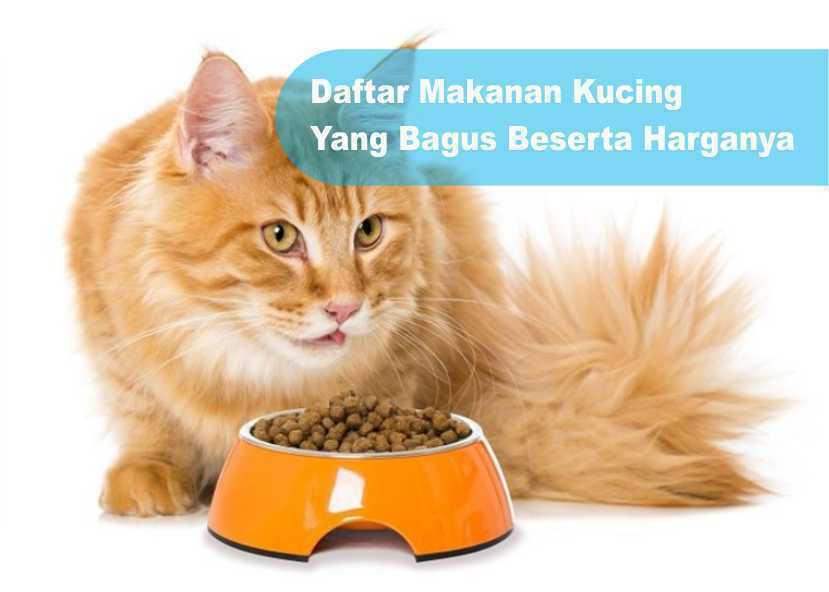 Daftar Makanan Kucing Yang Bagus Beserta Harganya