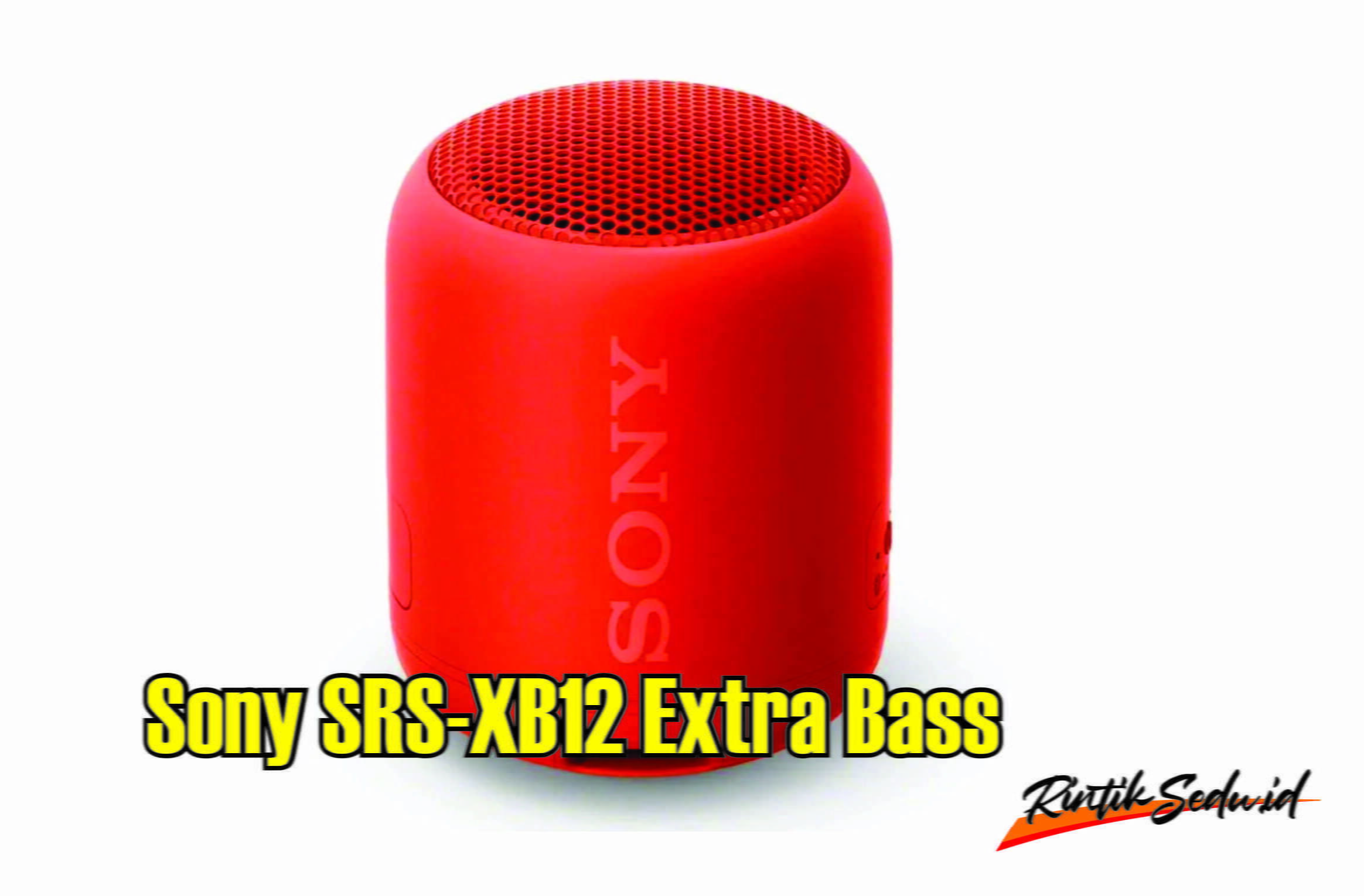 Sony SRS XB12 Extra Bass