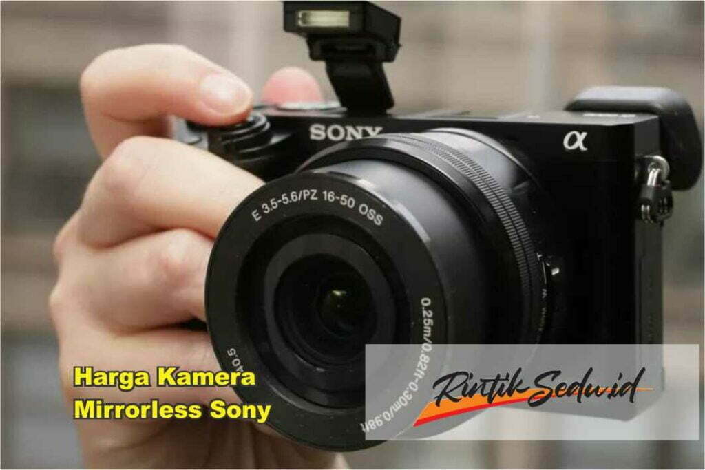 Harga Kamera Mirrorless Sony