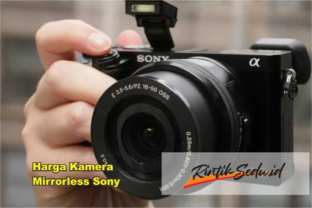 Harga Kamera Mirrorless Sony