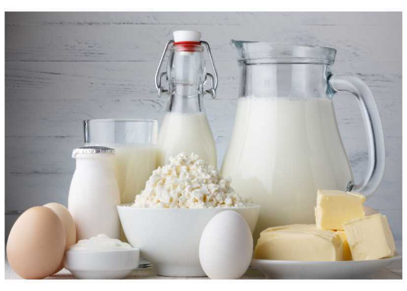 Apakah Susu Rendah Lemak Baik untuk Diet