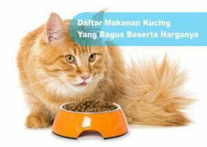 Daftar Makanan Kucing Yang Bagus Beserta Harganya