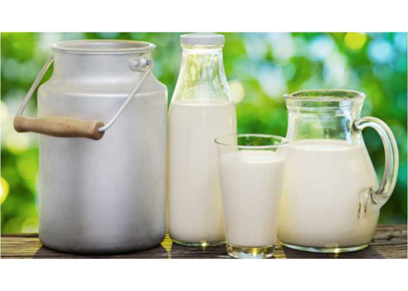 Tips Penyimpanan Susu Rendah Lemak