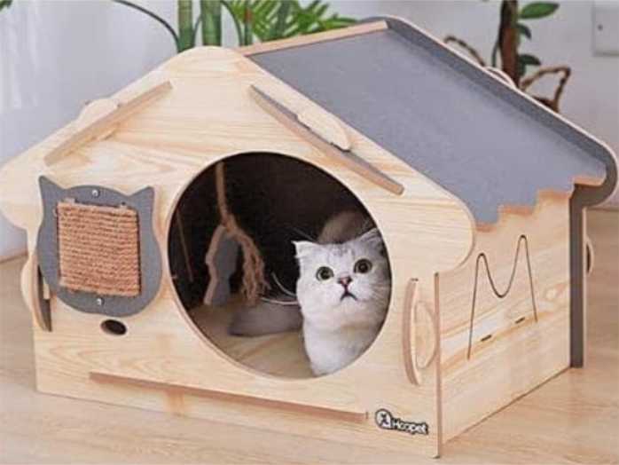 rumah kucing