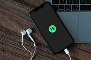 cara cek akun spotify premium