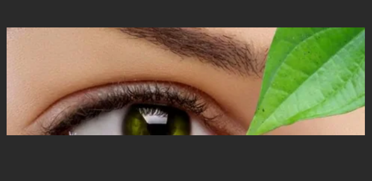 cara mengobati mata buram dengan daun sirih