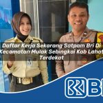 daftar kerja sekarang satpam bri di kecamatan mulak sebingkai kab lahat terdekat 1753855942