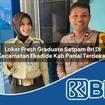 loker fresh graduate satpam bri di kecamatan ekadide kab paniai terdekat 1753977295