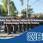 daftar kerja sekarang satpam bri di kecamatan kramongmongga kab fak fak terdekat 1754287833