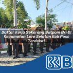 daftar kerja sekarang satpam bri di kecamatan lore selatan kab poso terdekat 1754332717