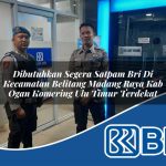 dibutuhkan segera satpam bri di kecamatan belitang madang raya kab ogan komering ulu timur terdekat 1754242618