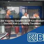 job vacancy satpam bri di kecamatan gucialit kab lumajang terdekat 1754332116