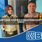 karir terbaru satpam bri di kecamatan venaha kab mappi terdekat 1754078932