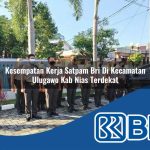 kesempatan kerja satpam bri di kecamatan ulugawo kab nias terdekat 1754049412