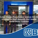 loker tanpa pengalaman satpam bri di kecamatan kodi bangedo kab sumba barat daya terdekat 1754510797