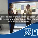 loker tanpa pengalaman satpam bri di kecamatan semidang alas maras kab seluma terdekat 1754221500