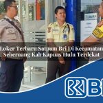 loker terbaru satpam bri di kecamatan seberuang kab kapuas hulu terdekat 1754480685