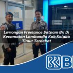 lowongan freelance satpam bri di kecamatan lambandia kab kolaka timur terdekat 1754213422