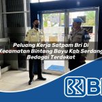 peluang kerja satpam bri di kecamatan bintang bayu kab serdang bedagai terdekat 1754434355
