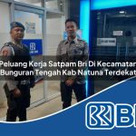 peluang kerja satpam bri di kecamatan bunguran tengah kab natuna terdekat 1754453076